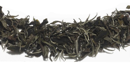 Hawaii Grown Tea - Forest White